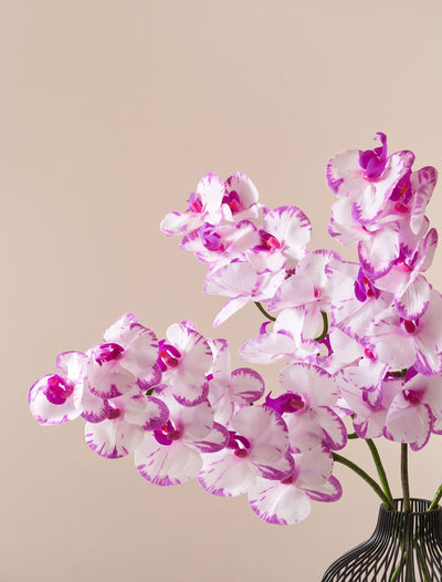 Gefälschte Orchidee - Freckled Pink (4 Stiele)