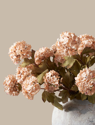 Valse Viburnum Bloem - Abrikoos (7 stelen / 21 bloemhoofdjes)