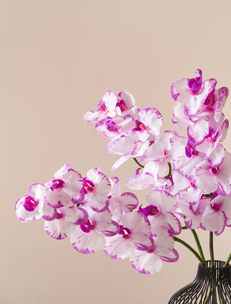 Faux orchidee - sproeterig roze (4 stelen)